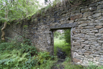 Griffe Mill 8
