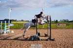 240629A-190326-09531