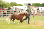 SBM_04438