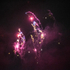 Fireworks 13