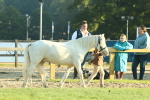 SBM_57365