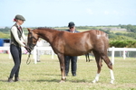 DSC07438
