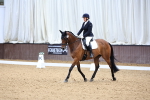 Class 5 - Novice 6 portfolio