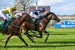 Race 5 portfolio