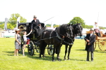 SBM_06691
