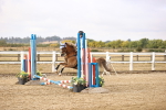 SBM_005714