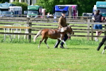 SBM_03699