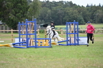 WJ6_0143