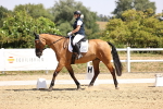 SBM_003996