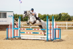 SBM_002955