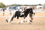 SBM_09295