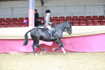 SBM_07303