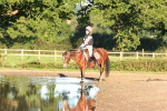 SBM_15338