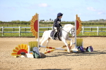 SBM_000242