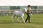 SBM_00569