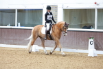 SBM_000526