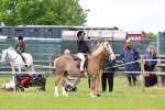 SBM_08183