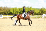 SBM_000442