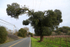 Highway 175, Hopland, California