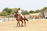 SBM_002960