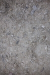 SBM_006335