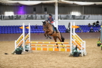 SBM_002633