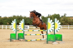 SBM_006983