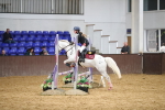 SBM_002666