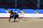 3HRodeo8-11-25_PRCASteer_04398_
