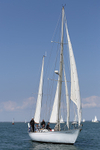 140621 GIPSY MOTH IV IMG_7634