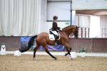 SBM_001163