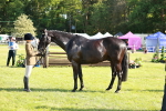 SBM_19294