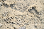 251004A-151204-01723