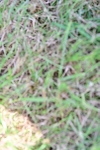SBM_06009