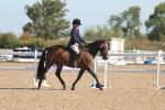 SBM_12195