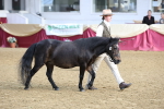 SBM_21886