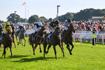 060926-Race 5-Extremely Zain-8390