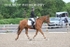 BPP_9322