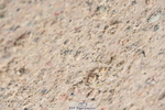 231013A-115002-01497