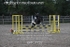BPP_7732