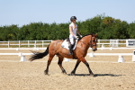 SBM_012595