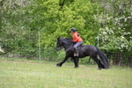 WJ6_1651