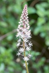190420-untitled-1L4A0917-Edit