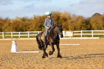 SBM_003279