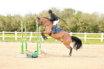 SBM_006033