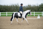 SBM_003477