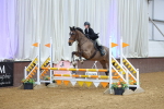 SBM_009517