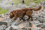 Borrowdale-688