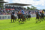 310526-Race 2-Dazzling Haze-8396