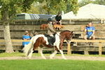 SBM_68189
